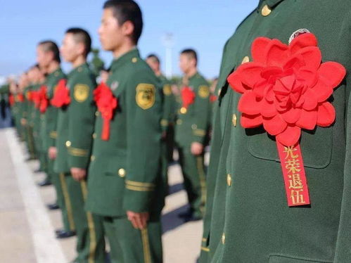 2024澳门六开奖历史记录|未来科技新趋势解析_和谐版.4.707 2024澳门六开奖历史记录|未来科技新趋势解析_和谐版.4.707