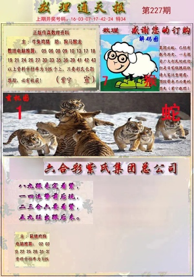 2024今晚必中四不像图1|实践解答解释落实_移动版SSIP.0.501