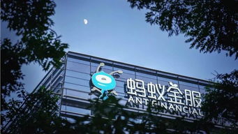 944天下彩网免费入口2|全面解答解释落实_体育版.0.560